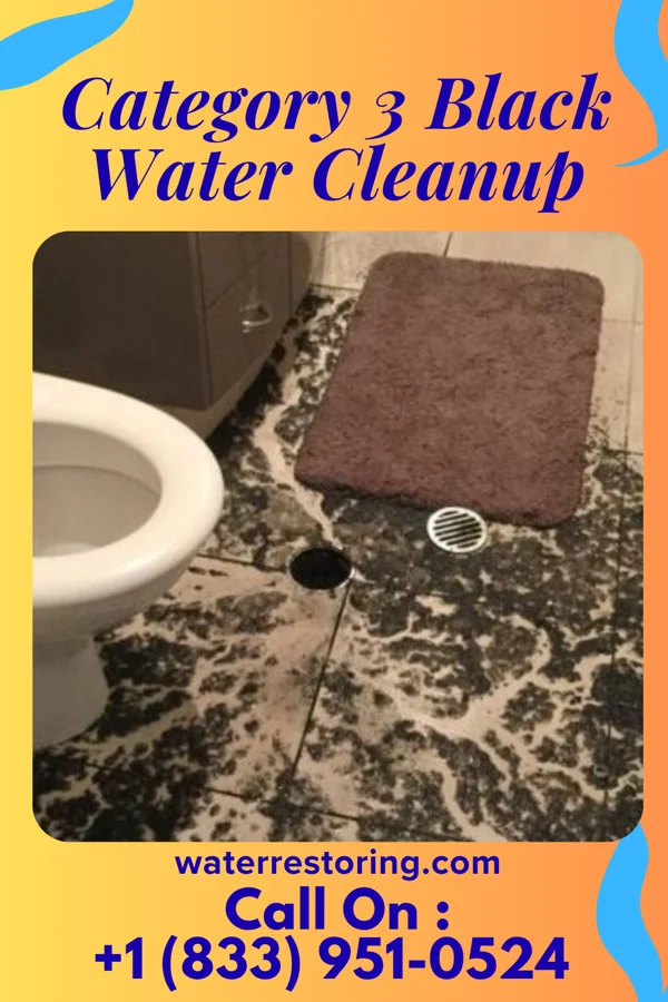 Category 3 Black Water Cleanup in Redgranite, WI