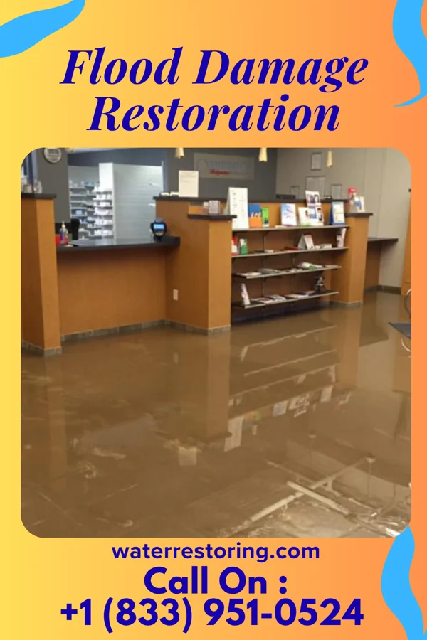 Flood Damage Restoration in Redgranite, WI