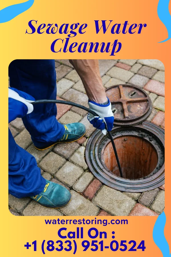 Sewage Water Cleanup in Redgranite, WI